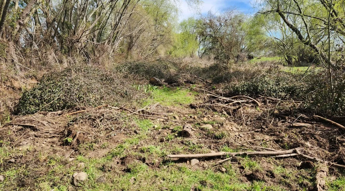 Venta parcela Pelarco (10)