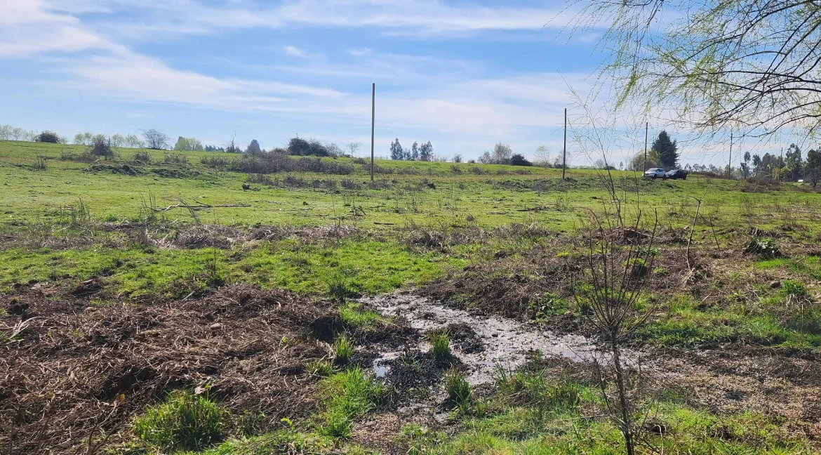 Venta parcela Pelarco (15)