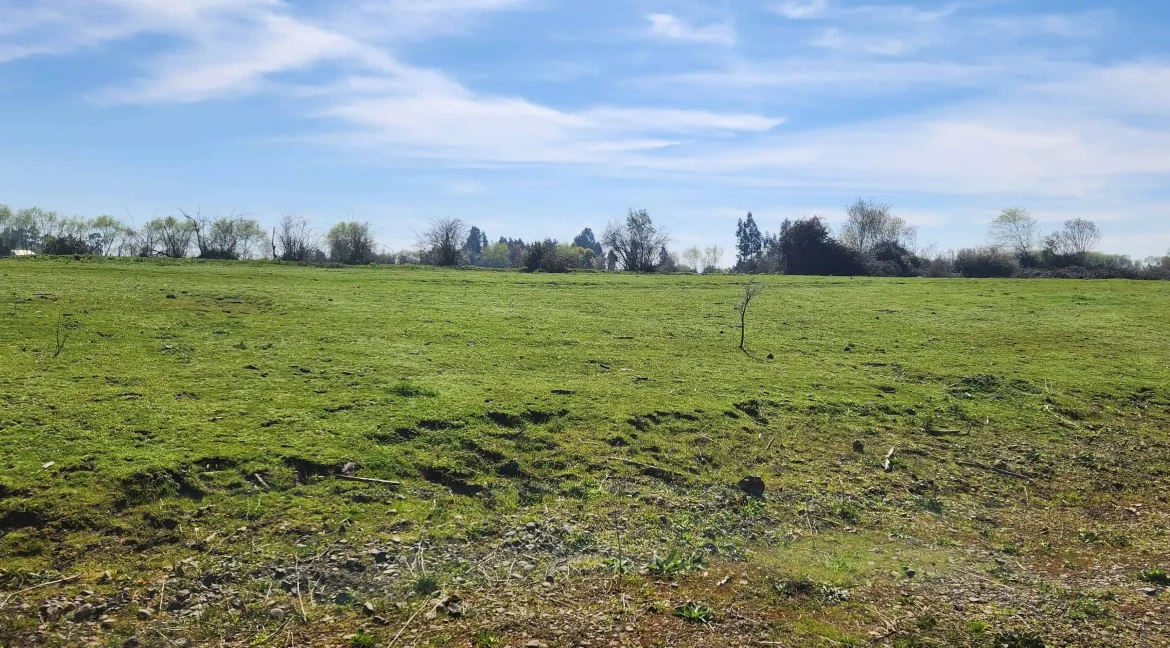 Venta parcela Pelarco (2)