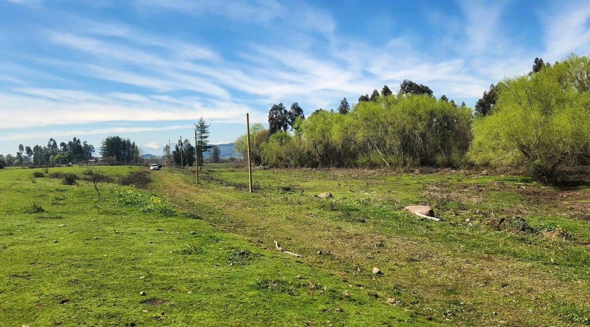 Venta parcela Pelarco (21)