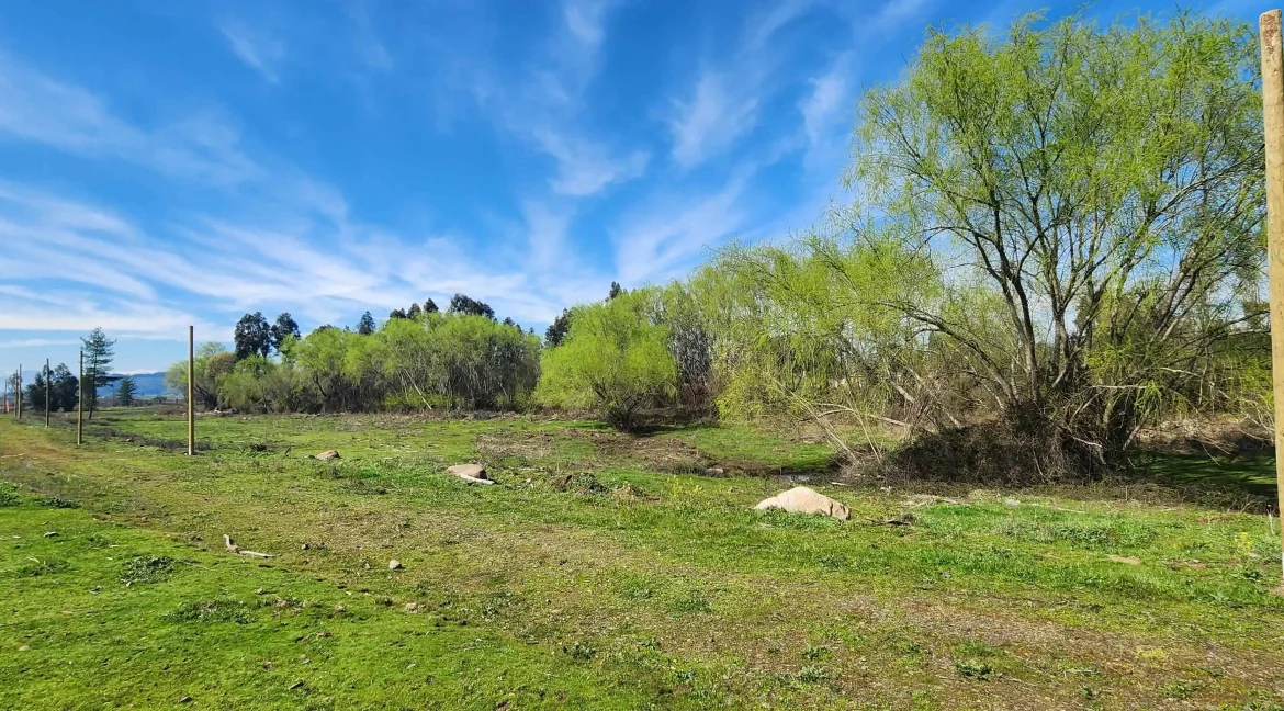 Venta parcela Pelarco (23)
