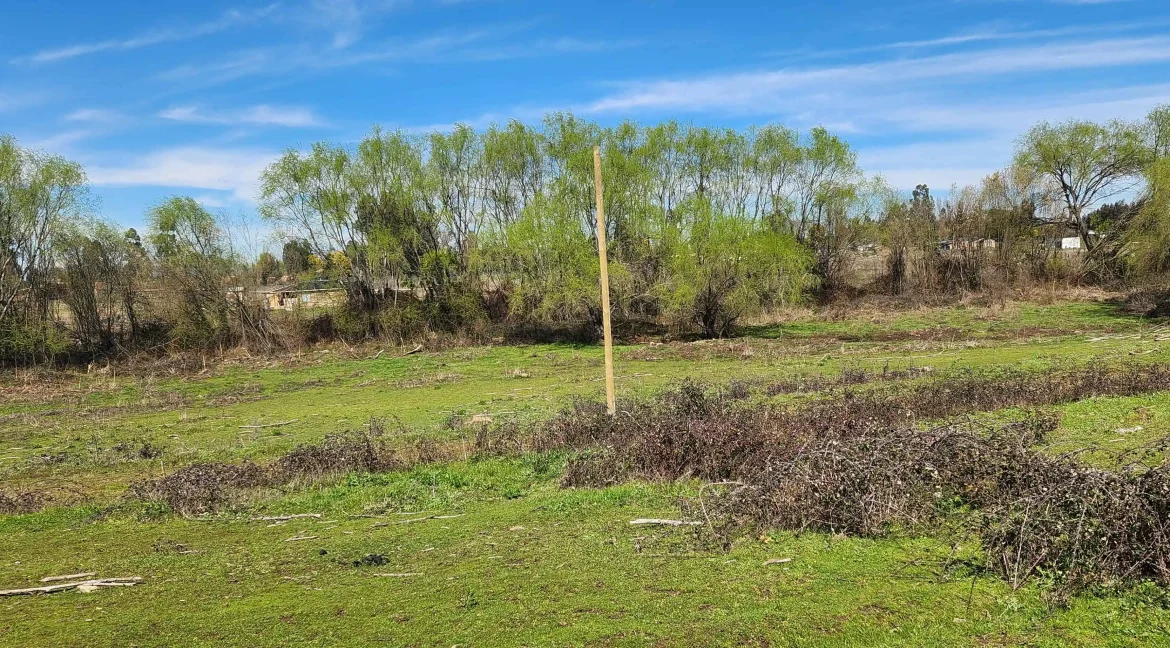 Venta parcela Pelarco (24)