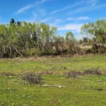 Parcela en Venta Pelarco