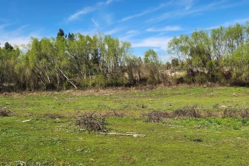 Parcela en Venta Pelarco