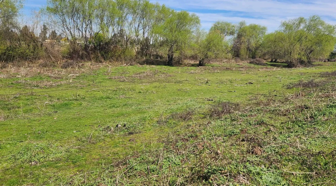 Venta parcela Pelarco (31)