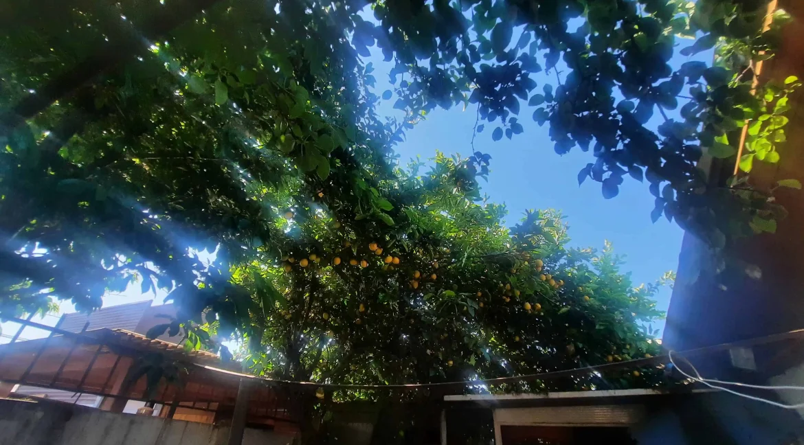 Casa Lanin - Maipú (18)