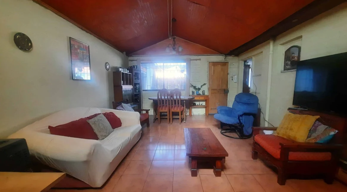 Casa Lanin - Maipú (2)