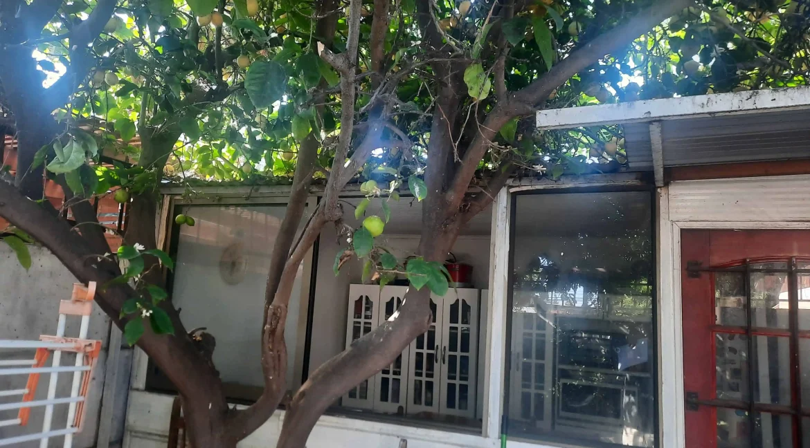 Casa Lanin - Maipú (20)