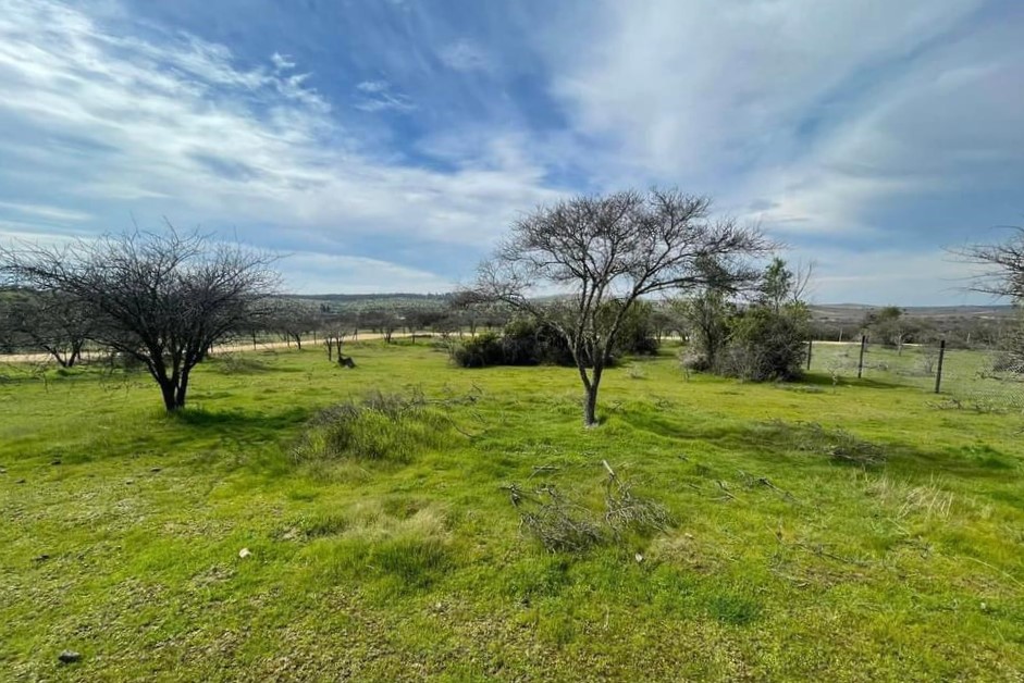 Se vende Parcela en Marchigue – rol propio- Embalse Mallermo