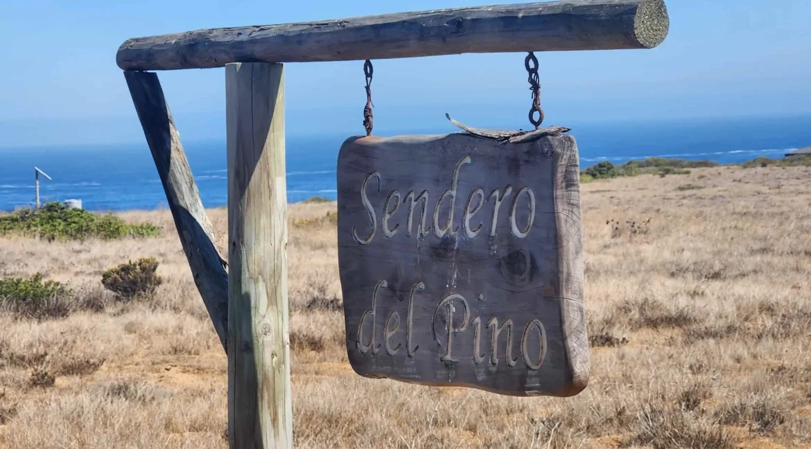 Parcela condominio Punta Gallos Tunquen (13)
