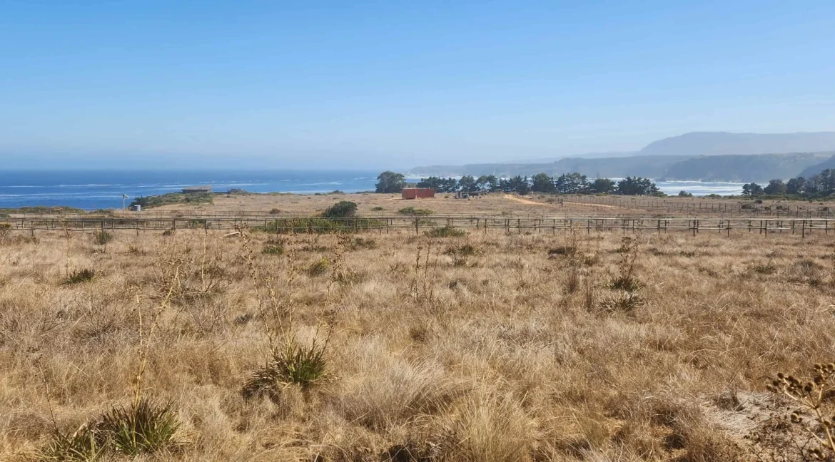 Parcela condominio Punta Gallos Tunquen (16)