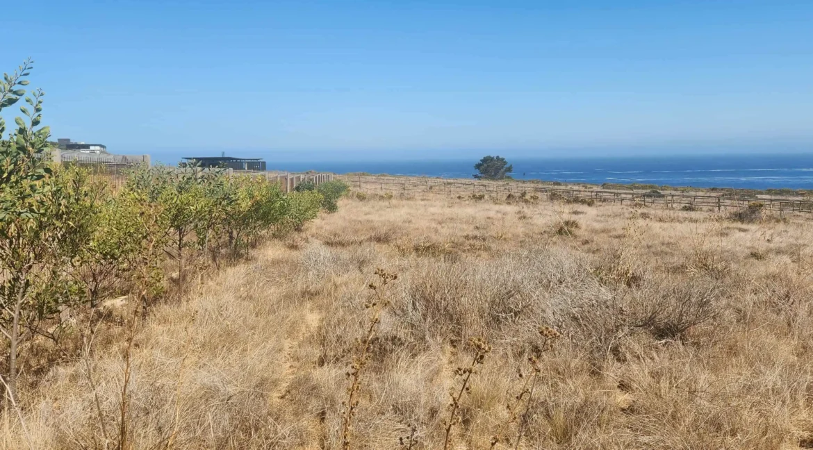 Parcela condominio Punta Gallos Tunquen (17)