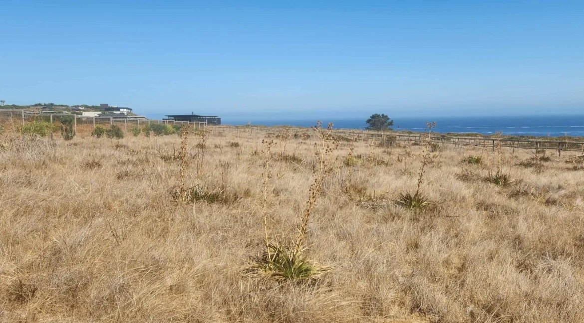 Parcela condominio Punta Gallos Tunquen (18)