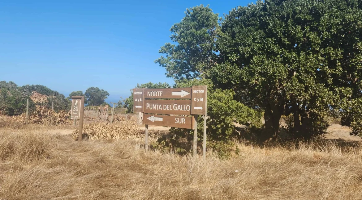 Parcela condominio Punta Gallos Tunquen (2)
