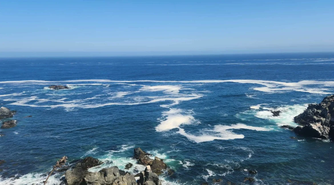 Parcela condominio Punta Gallos Tunquen (30)