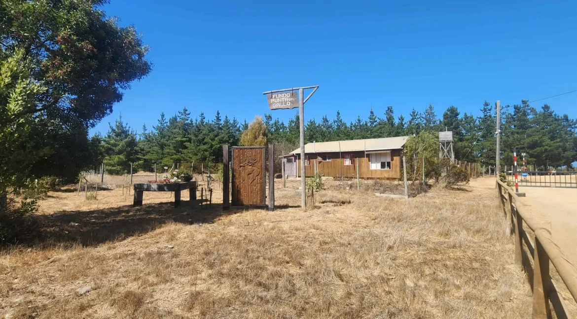 Parcela condominio Punta Gallos Tunquen (41)