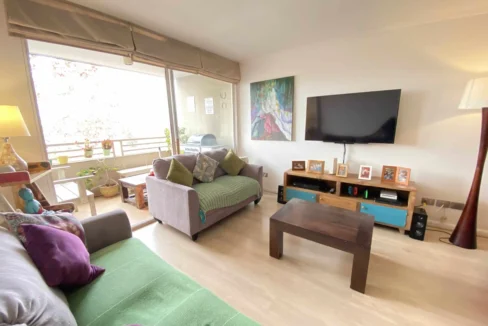 Arriendo departamento Providencia