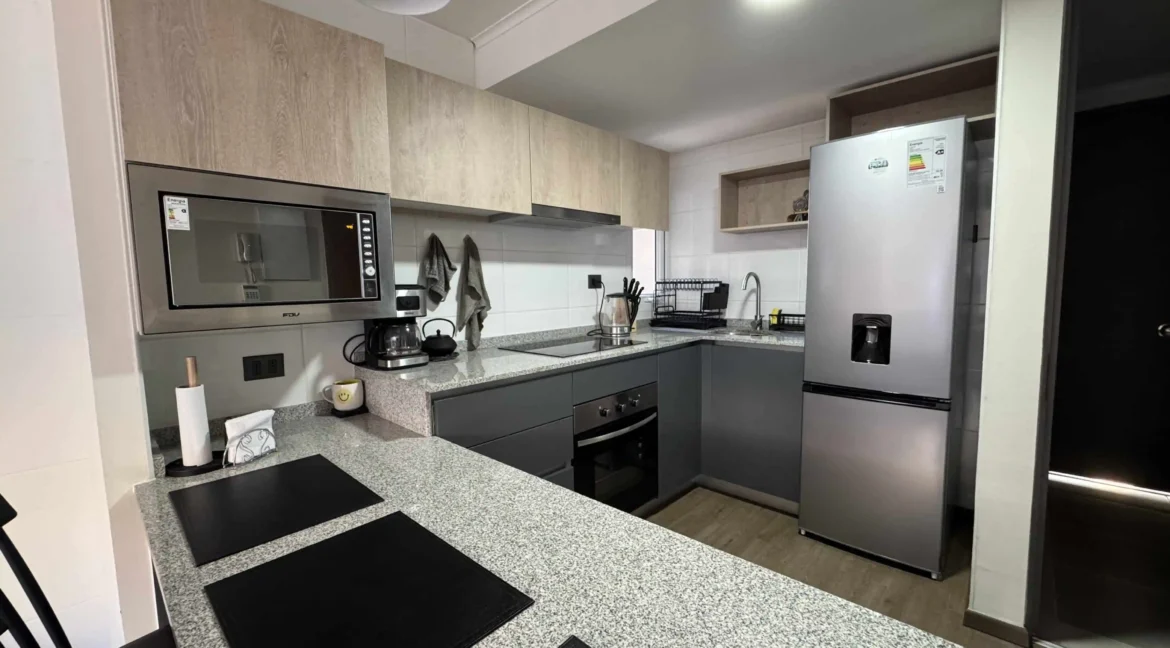 Arriendo departamento Estilo Mariposa Carlos Valdovinos (10)