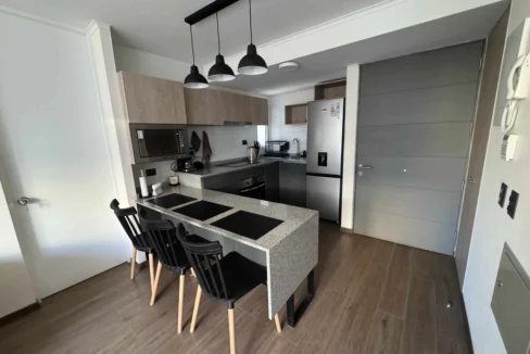 Arriendo-departamento-Estilo-Mariposa-Carlos-Valdovinos