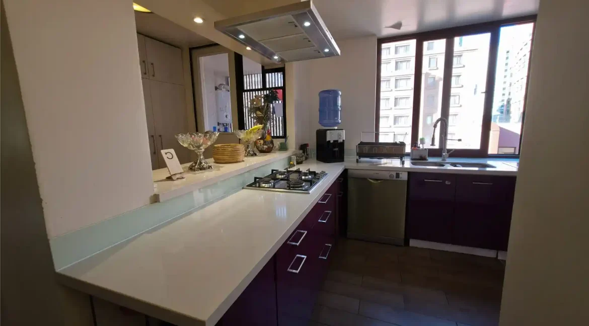 Arriendo departamento Calle Luz las Condes (15)