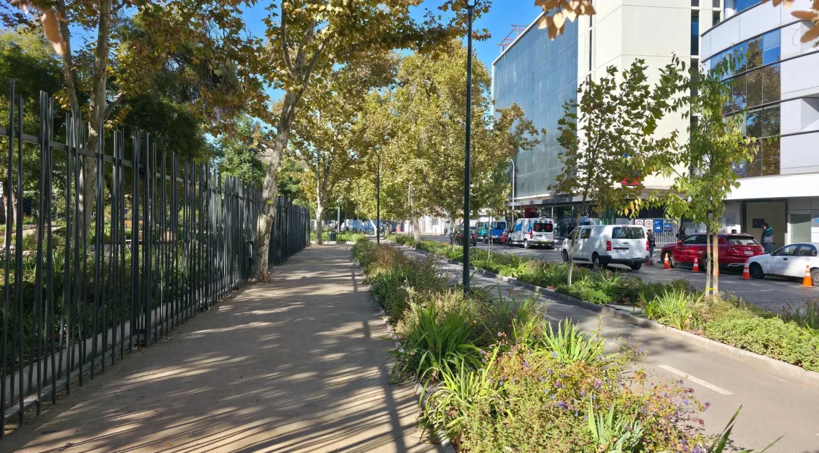 Departamento Jofre providencia (6)