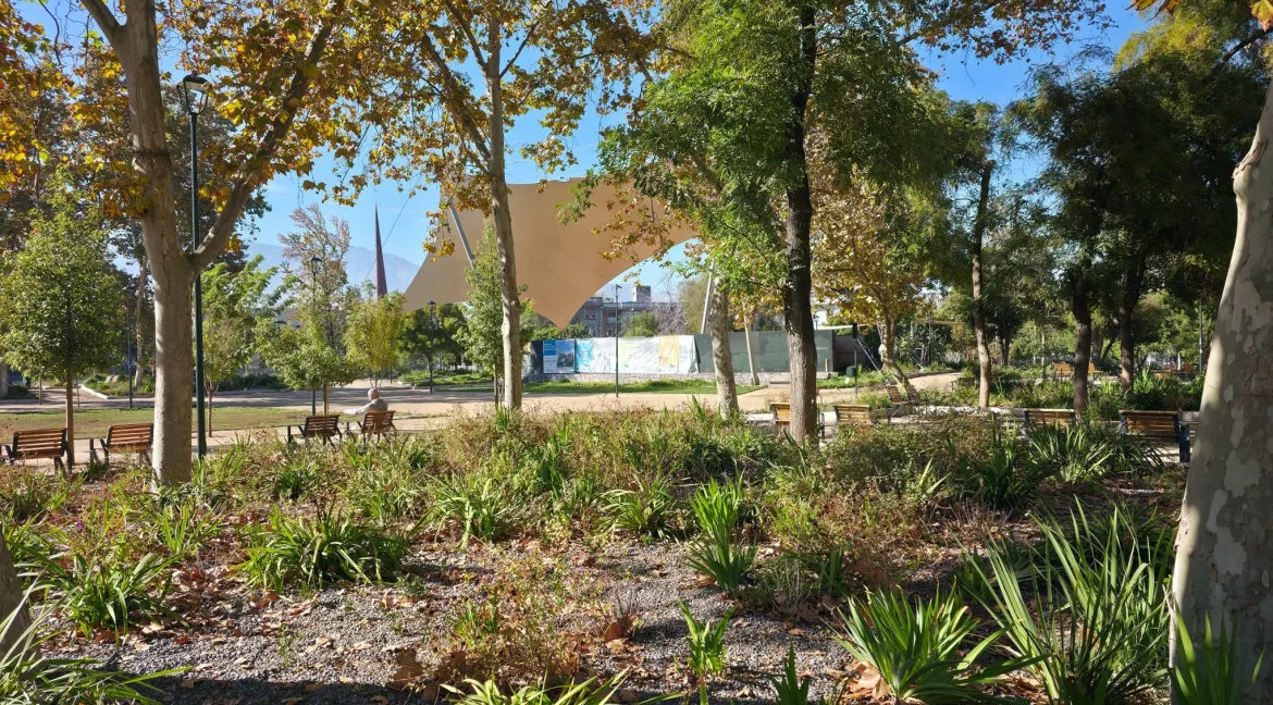 Departamento Jofre providencia (7)