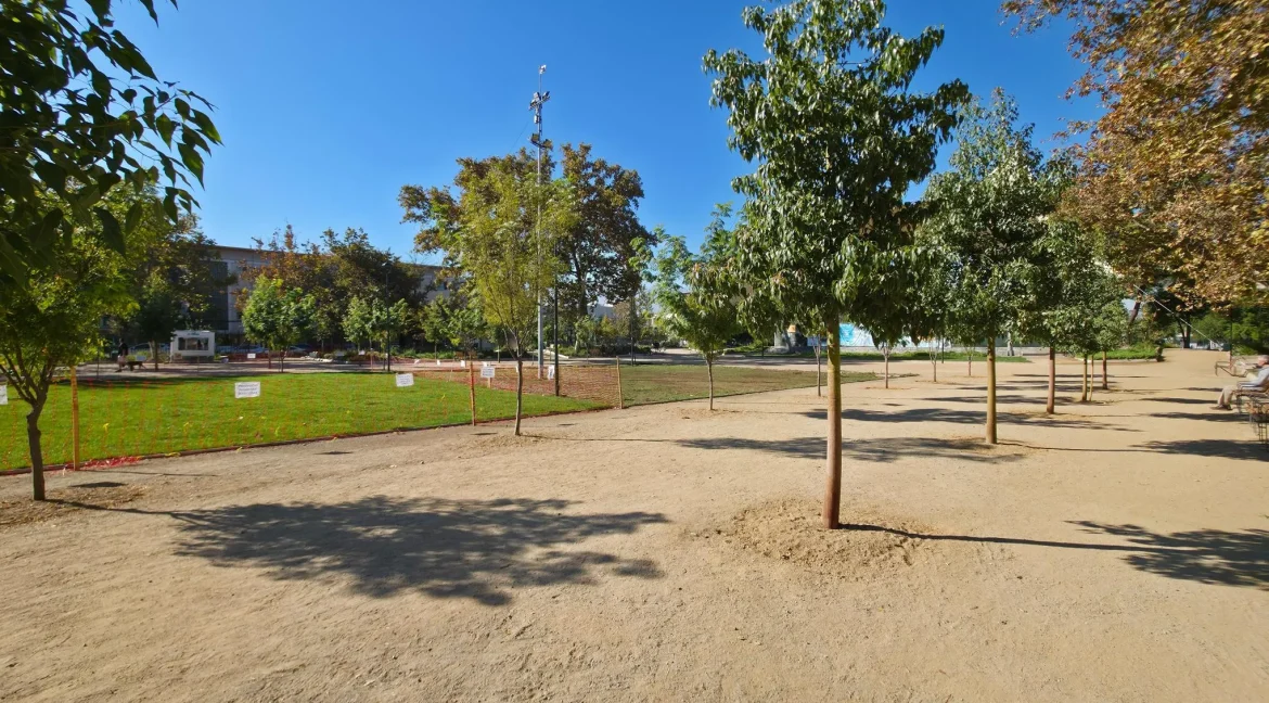 Departamento Jofre providencia (8)