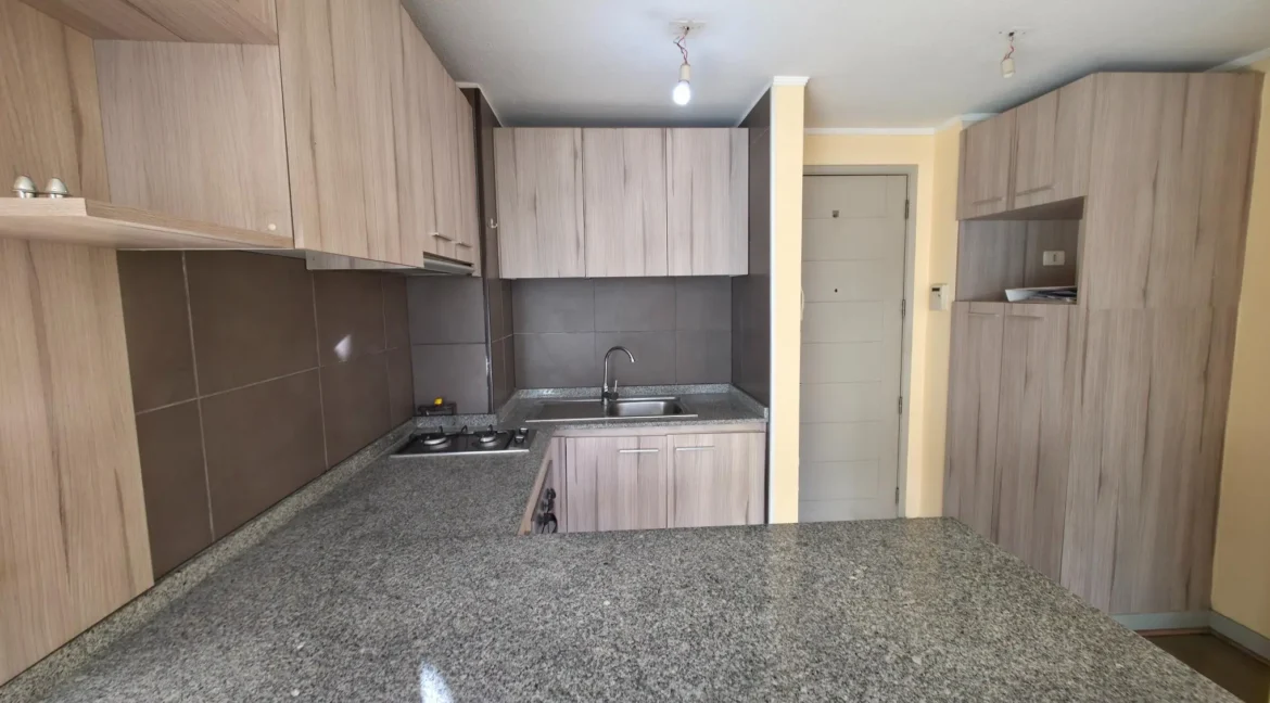 Departamento Eleuterio Ramirez 825 depto 1103B (14)