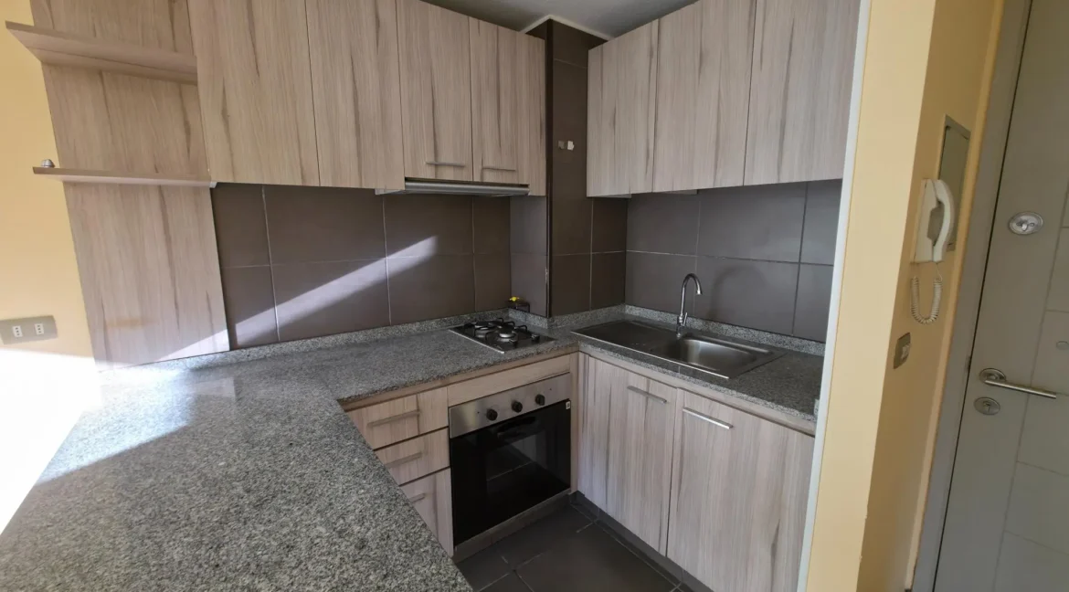 Departamento Eleuterio Ramirez 825 depto 1103B (7)