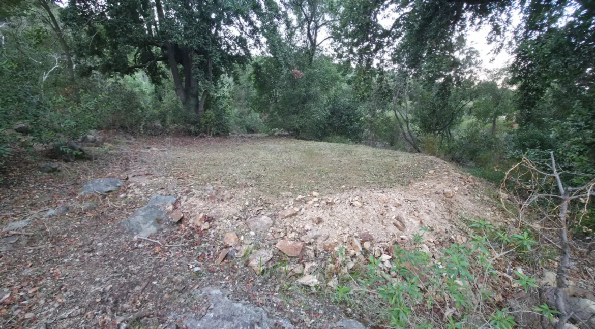Parcela Laguna Aculeo (12)