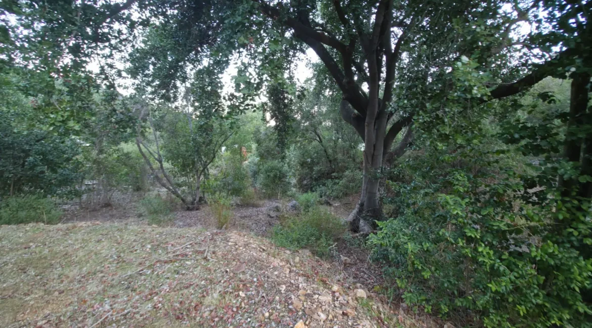 Parcela Laguna Aculeo (13)