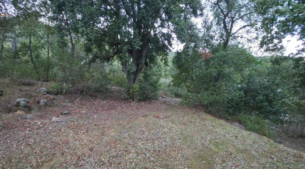 Parcela Laguna Aculeo (14)
