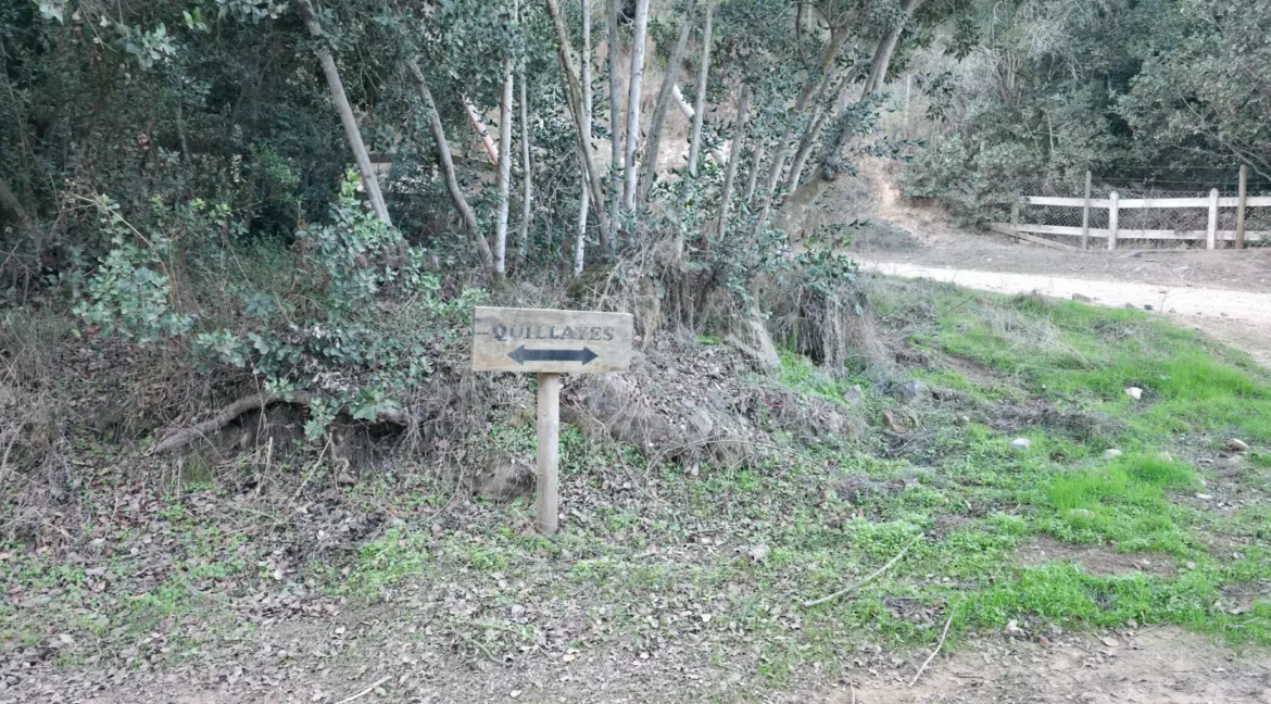 Parcela Laguna Aculeo (23)
