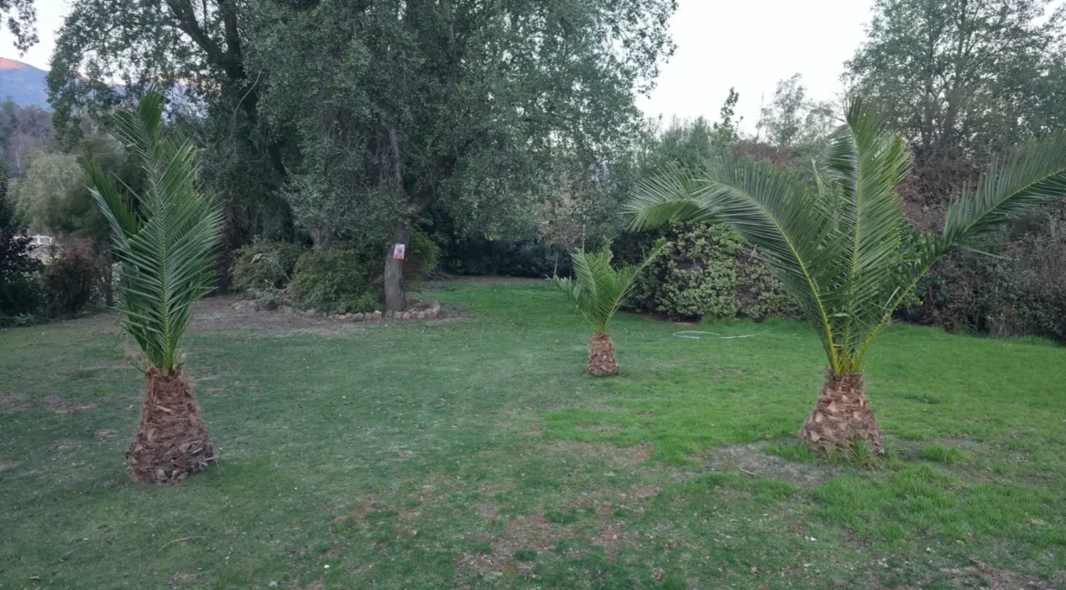 Parcela Laguna Aculeo (33)