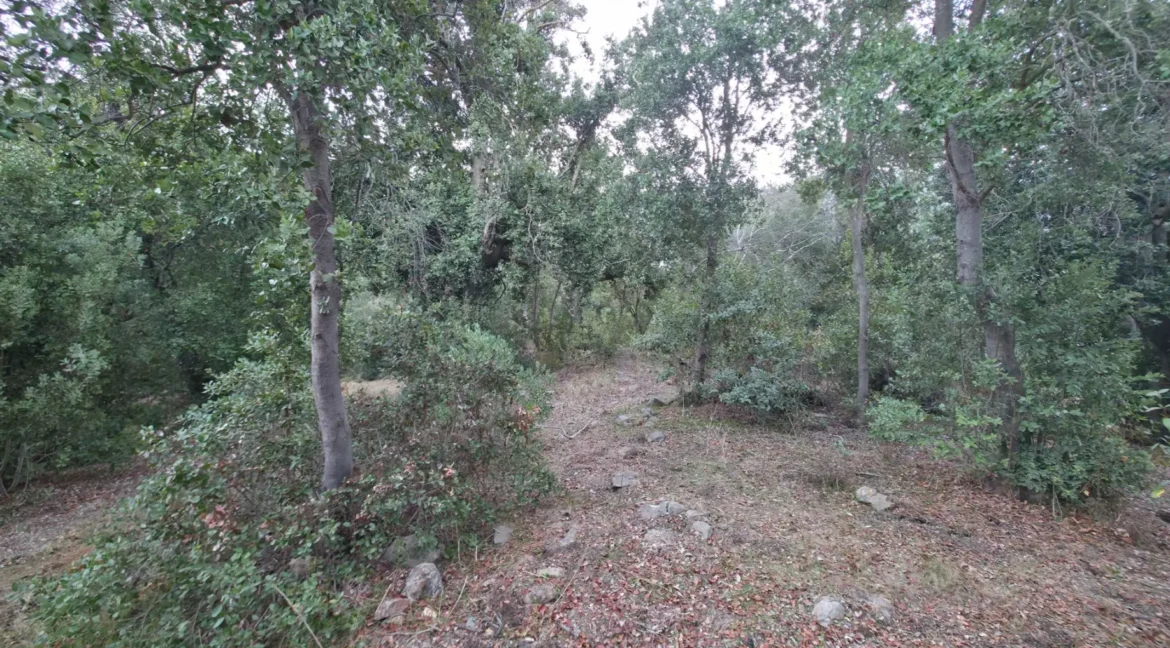 Parcela Laguna Aculeo (7)