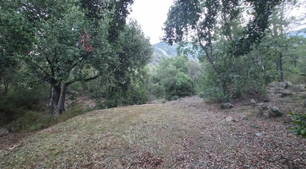 Parcela Laguna Aculeo (8)
