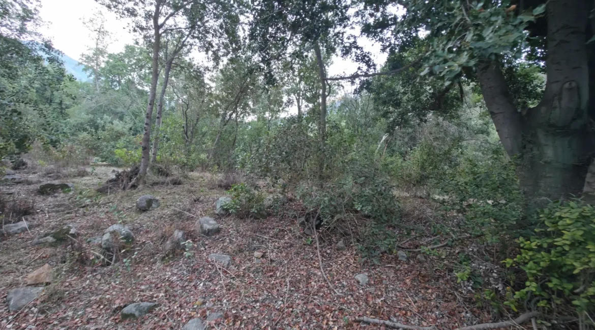 Parcela Laguna Aculeo (9)