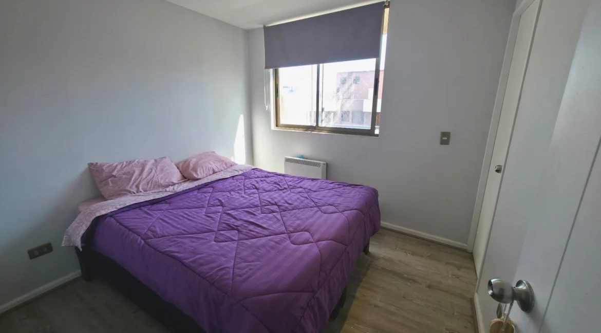 Venta departamento Portugal 442 Santiago (18)